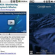 Image for article titled Google Now Invading the Privacy of Dolphins, Sponges and Sea Cucumbers